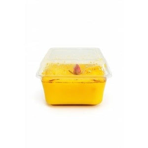 حلوى الأرز بالزعفران (شوليه زرد) 150 غرام حلوى الأرز بالزعفران (شوليه زرد) 150 غرام